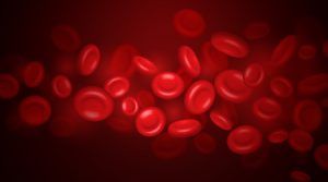 01J91DNTBGNWSKYYJZW2QABHRS