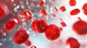 01J91DNTBR9WAQV5E8C7ASEE5G