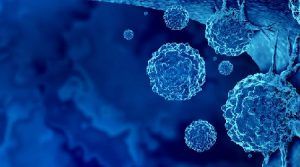 01JAPTWTHQH06CDT30HN787T73