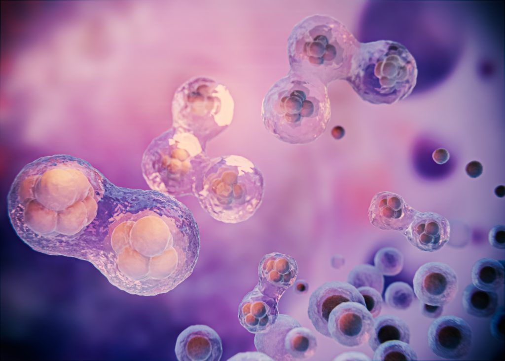Tiny cells, enormous possibilities — save them when it matters most.