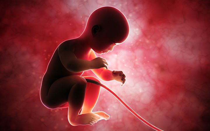 Cord Blood Banking in Hyderabad: What Every Parent Should Know