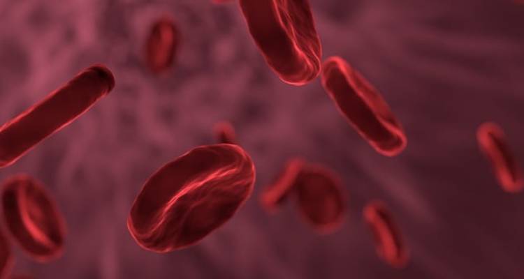 Stem Cell Financially