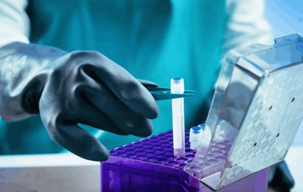 Securing Tomorrow Today: Selecting the Best Private Stem Cell Bank in Hyderabad