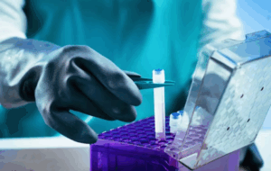 Stem cell Bank