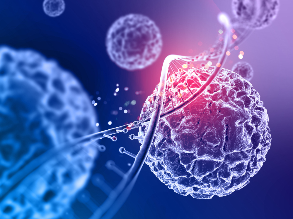 Best Stem Cell Banking in India — Why Transcell Leads the Way