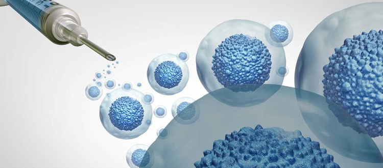 Best Stem Cell Banking in Hyderabad — Why Transcell Leads the Way