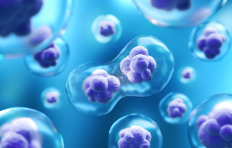 The Best Stem Cell Services in Hyderabad